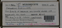 Image Associated With the Occurence